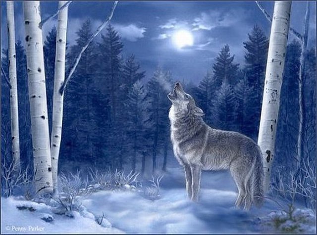 №593492 - оригинал