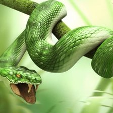 Схема вышивки «зеленая змея»