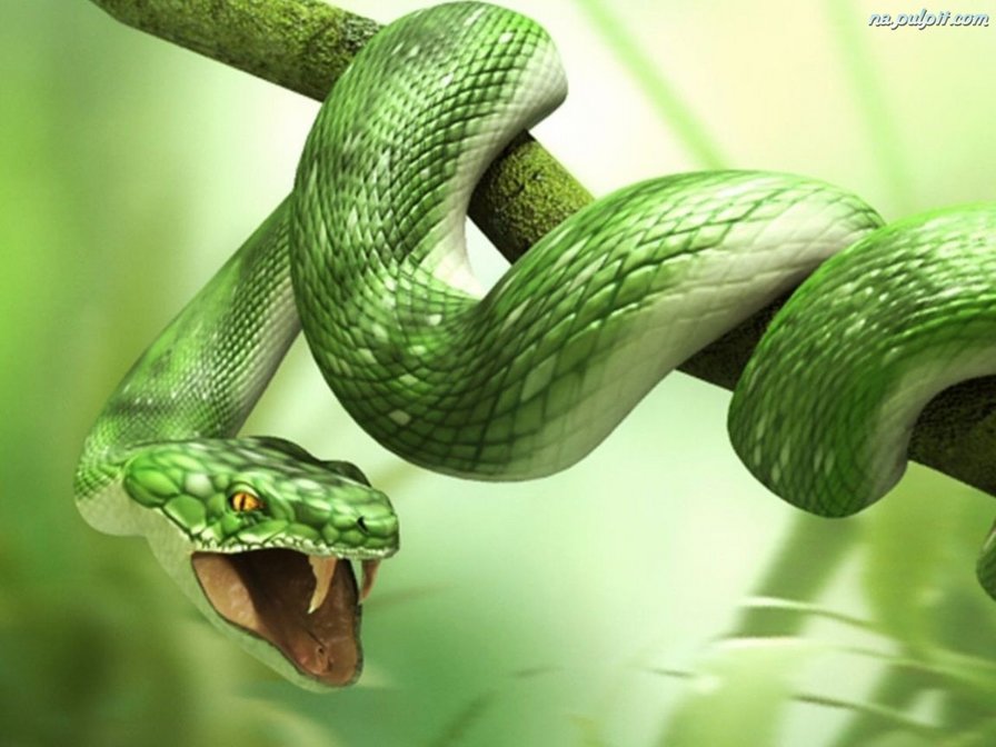 зеленая змея - змея, рептилии, пресмыкающиеся, вышивка - оригинал