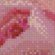 Предпросмотр схемы вышивки «Пион» (№593719)