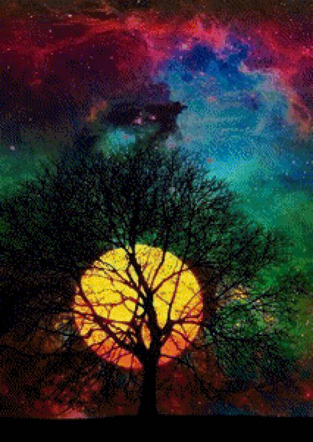 Закат - закат, цвет, дерево, фото - предпросмотр