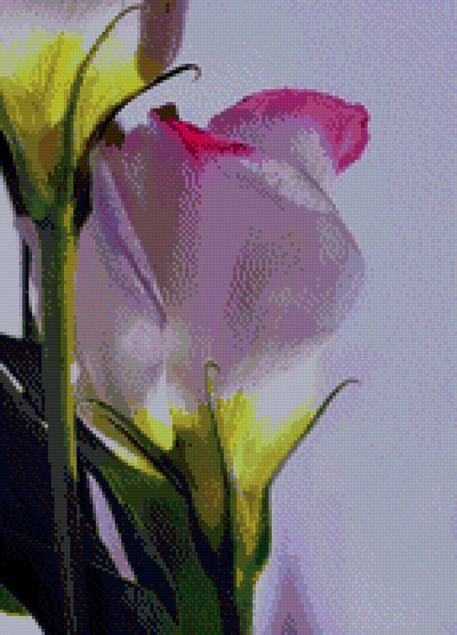 цветок - весна, цветок - предпросмотр