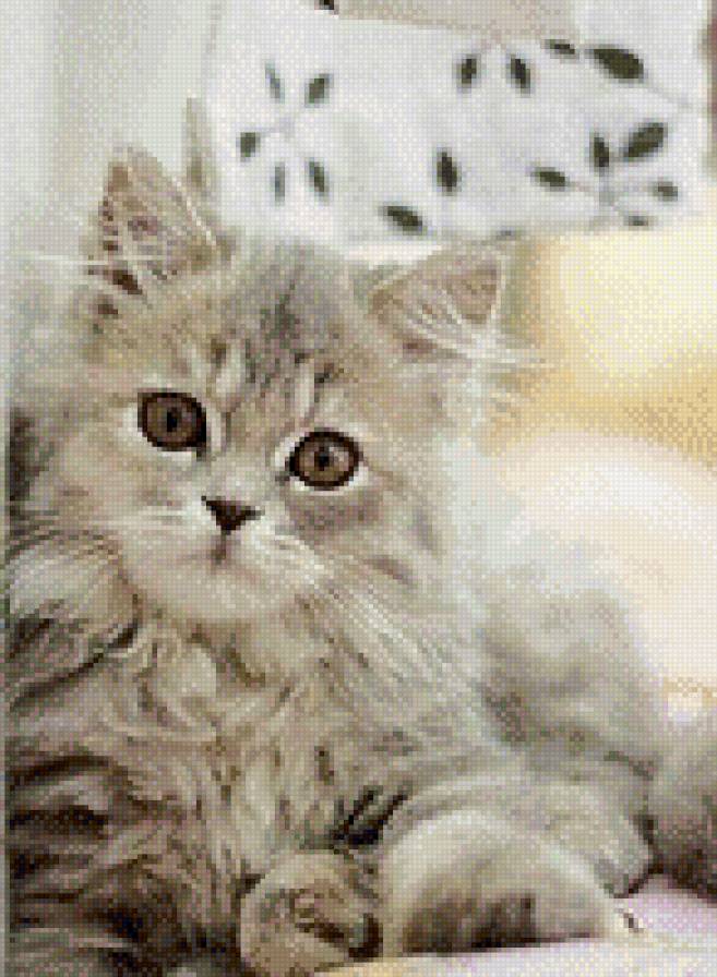 котёнок - котенок, , кот, натюрморт, жтвопись, кошка - предпросмотр