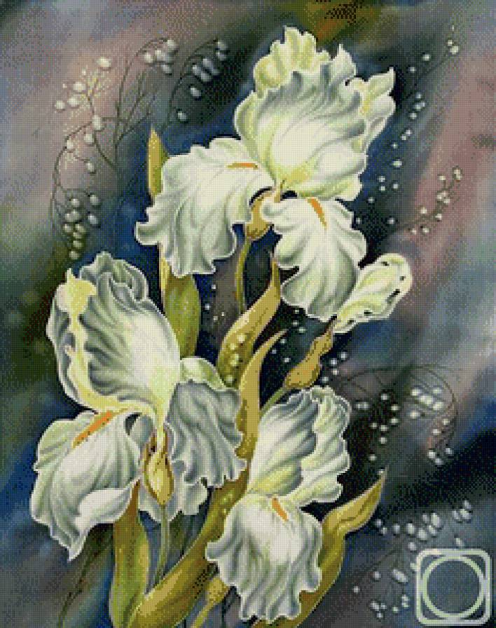 ирисы - предпросмотр