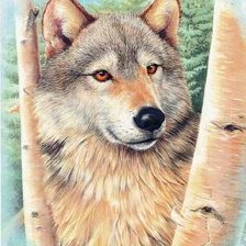 Оригинал схемы вышивки «волк» (№594237)