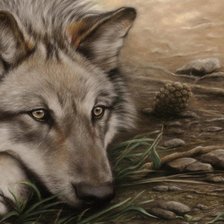 Схема вышивки «волк 2»