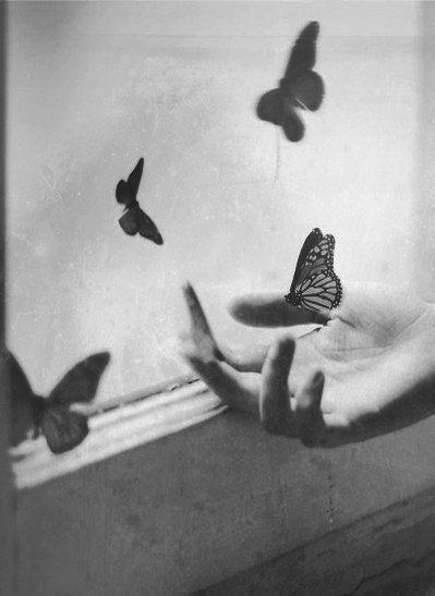 Бабочки - тоска, бабочки, грусть - оригинал