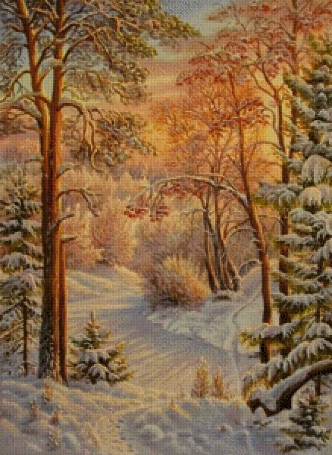 утро в лесу - пейзаж, тропинка, рябина, зима, лес, утро, деревья, снег - предпросмотр