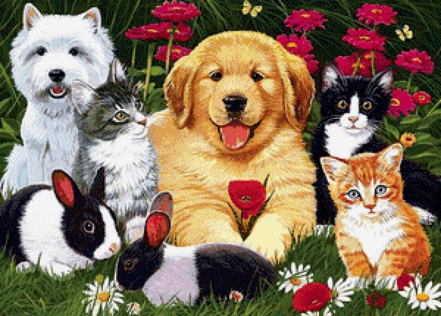 Дружная семейка - кошки, кролики, собаки, животные - предпросмотр