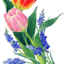 Схема вышивки «весна пришла»