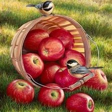 Оригинал схемы вышивки «карзиночка с яблоками» (№594542)