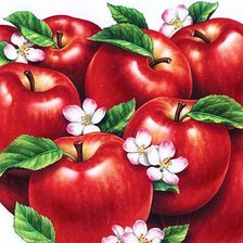 красные яблочки