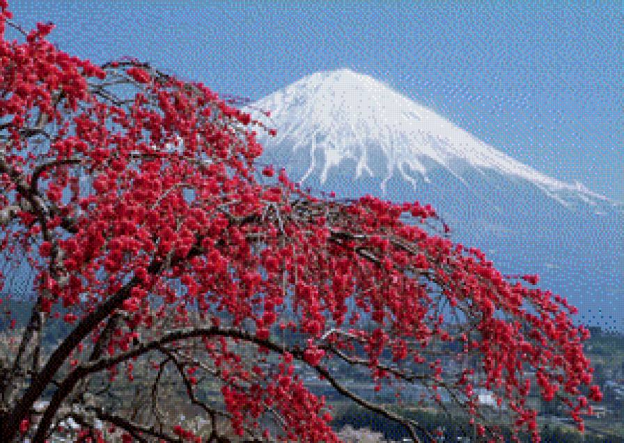 сакура - предпросмотр
