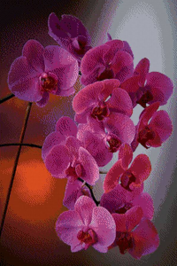 123 - предпросмотр