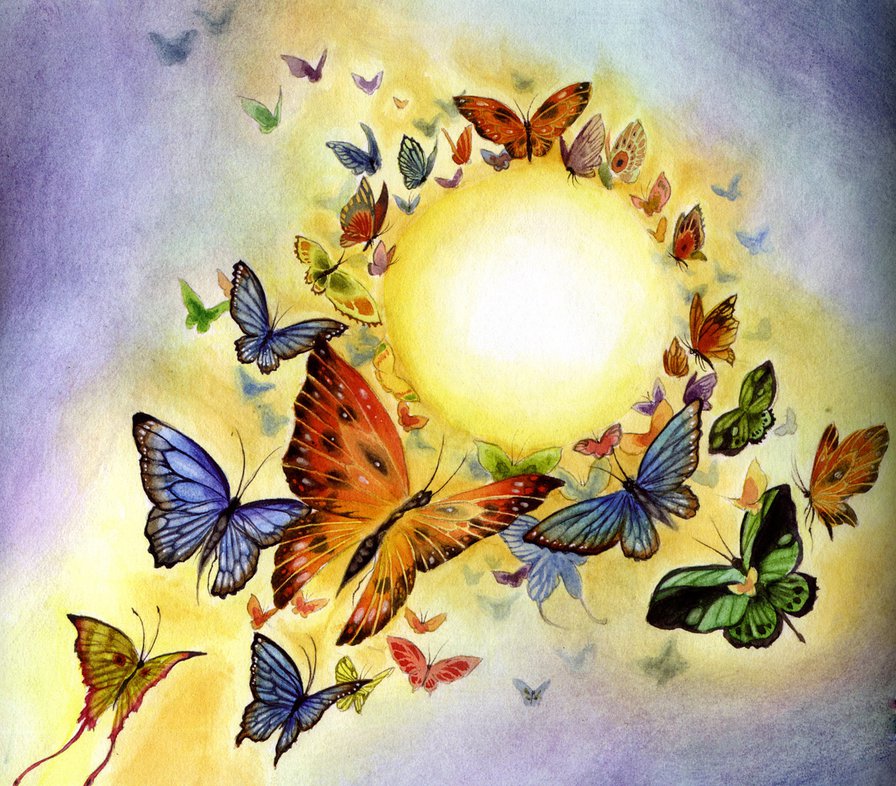 калейдоскоп бабочек - насекомые, бабочки - оригинал