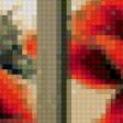 Предпросмотр схемы вышивки «маки» (№594796)