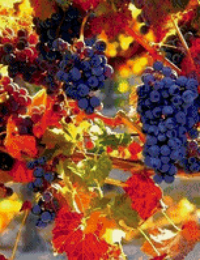 виноград - фрукты, природа, еда - предпросмотр