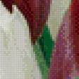 Предпросмотр схемы вышивки «пано тюльпановое» (№595237)