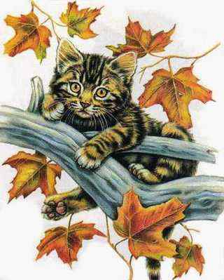 котёночек - картина кошки - оригинал