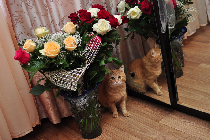 Красавчик - оригинал