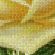 Предпросмотр схемы вышивки «Винтажные розы.» (№595439)