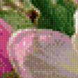 Предпросмотр схемы вышивки «Яблоня в цвету.» (№595488)