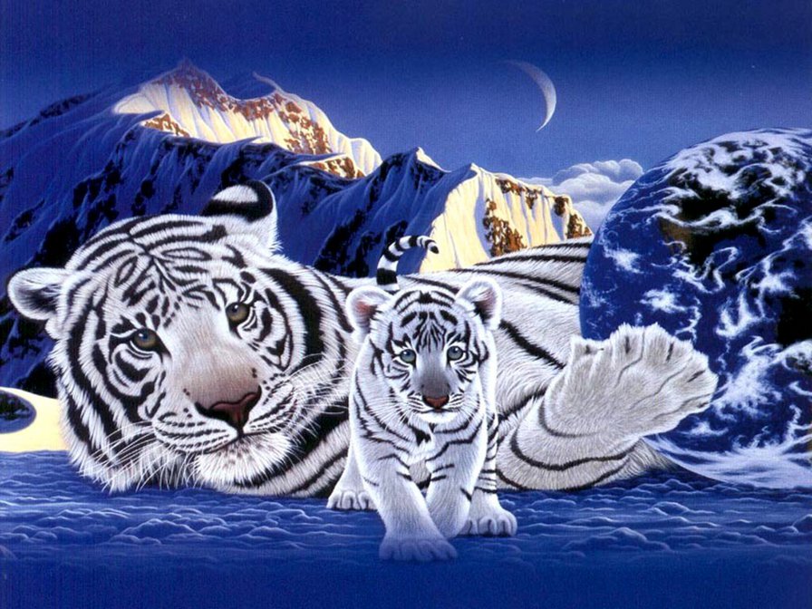 тигры - животное, тигр, снег, зима, горы - оригинал