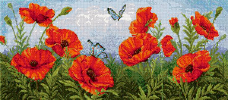 весенний полет - бабочки, весна, поле, цветы, маки - предпросмотр