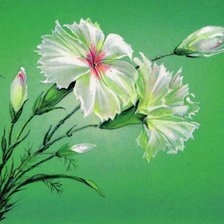 Схема вышивки «Цветы»