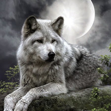 Схема вышивки «Волк»