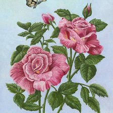 Оригинал схемы вышивки «розы» (№595922)