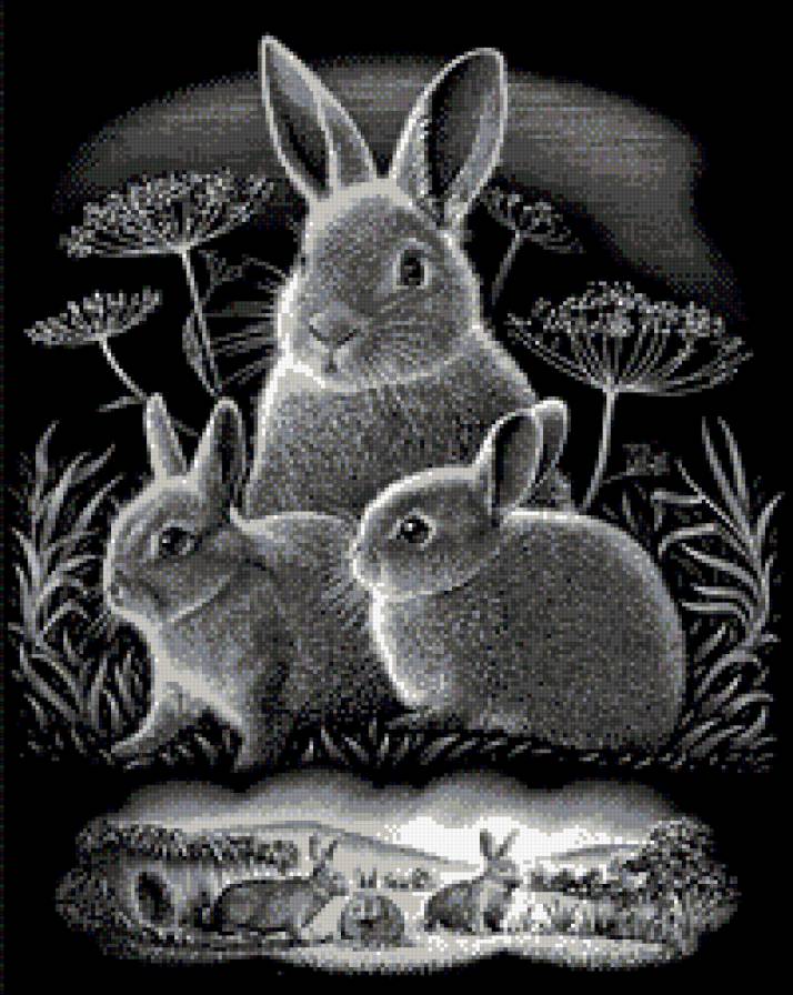 кролики монохром - кролик, чорнобелое, зайчик, монохром - предпросмотр