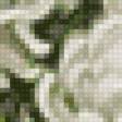 Предпросмотр схемы вышивки «хризантема» (№595995)