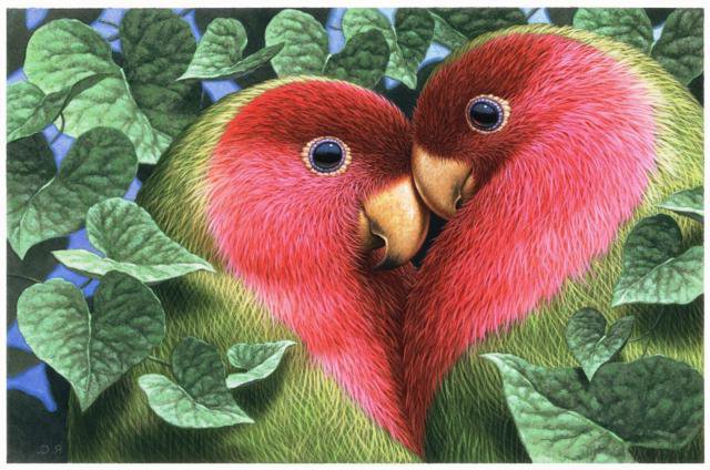 попугайчики - оригинал