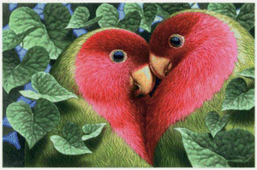 попугайчики - предпросмотр