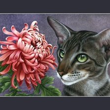 Схема вышивки «котик»