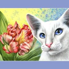 Схема вышивки «котик»