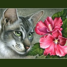 Схема вышивки «котик»