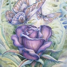 Схема вышивки «бабочки на цветке розы»