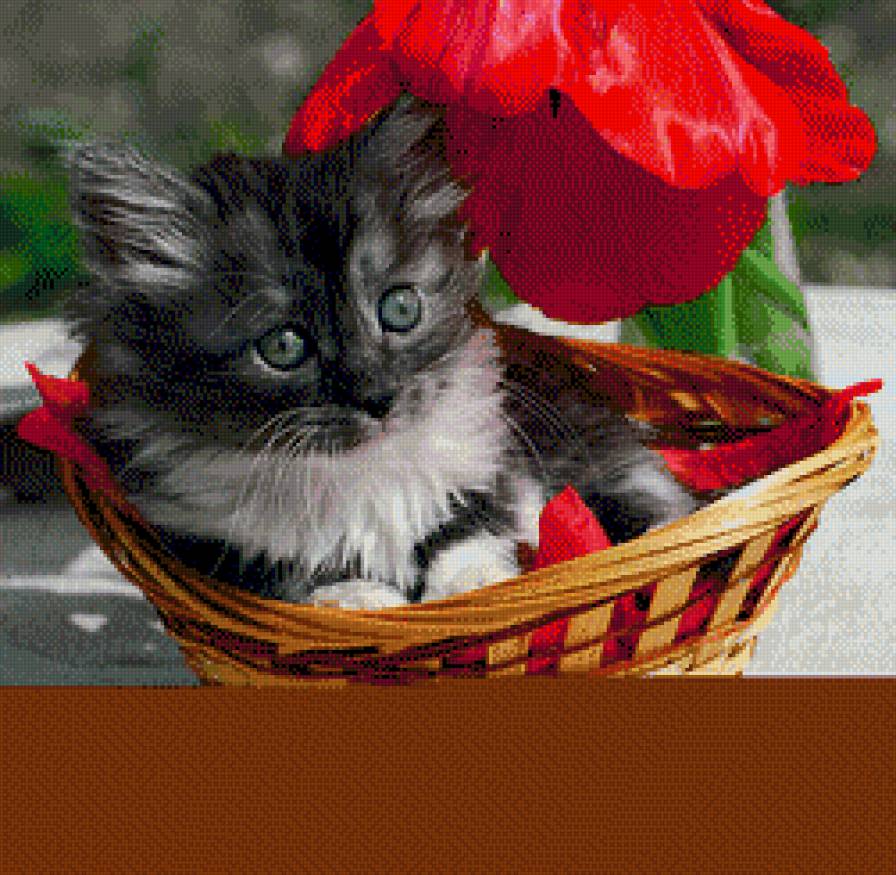 Кот в корзине - предпросмотр