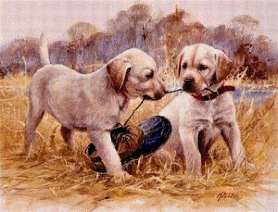 №596436 - предпросмотр