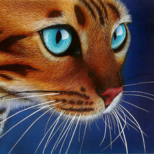 Схема вышивки «rbcf»