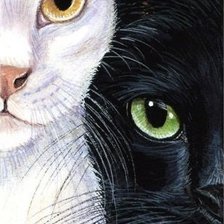 Схема вышивки «кисы»