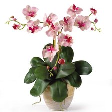 Схема вышивки «Орхидеи»