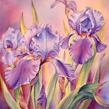 Схема вышивки «Ирисы»