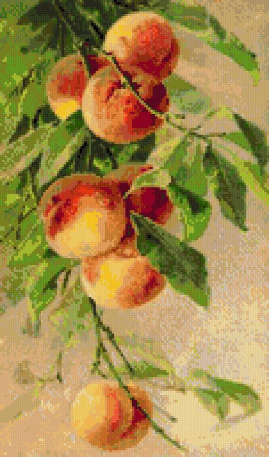 персики - фрукты, персики - предпросмотр