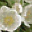 Предпросмотр схемы вышивки «букет» (№596806)