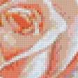 Предпросмотр схемы вышивки «роза» (№596878)