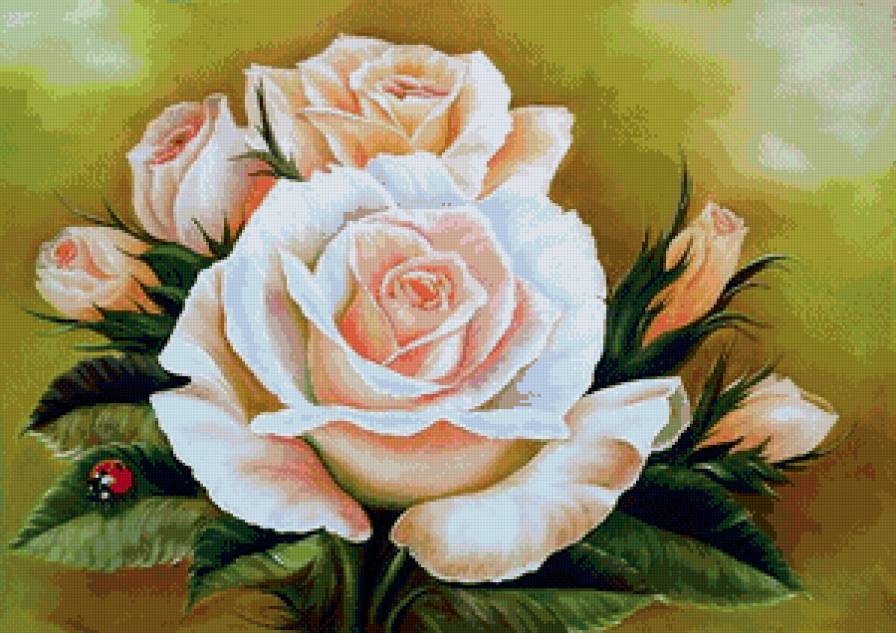 роза - цветы, роза - предпросмотр