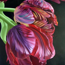 Схема вышивки «тюльпаны»